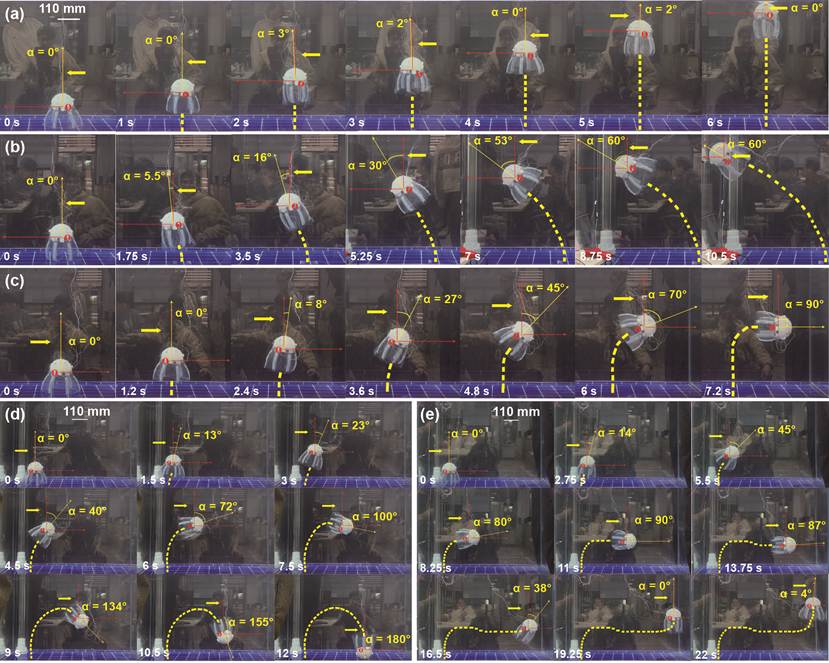 wired_swimming-R1-IJRR (1)